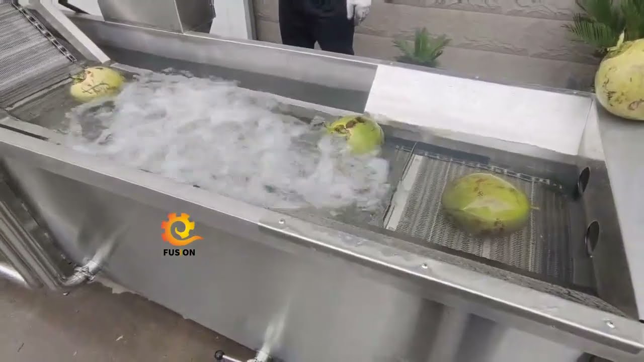 Coconut washing and cutting machine