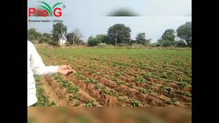 Our product Vanvruddhi Wettable Powder best review from farmer side.