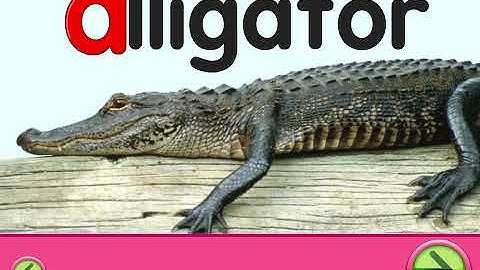 Starfall ABC’s Letter A Part 1