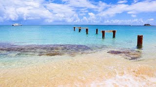 Beautiful Caribbean Beach Scenery From St. Martin (4K Video)