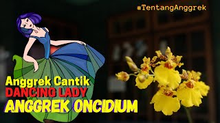 ANGGREK CANTIK BAGAI PENARI PEREMPUAN ANGGREK ONCIDIUM - Dancing Lady Orchid