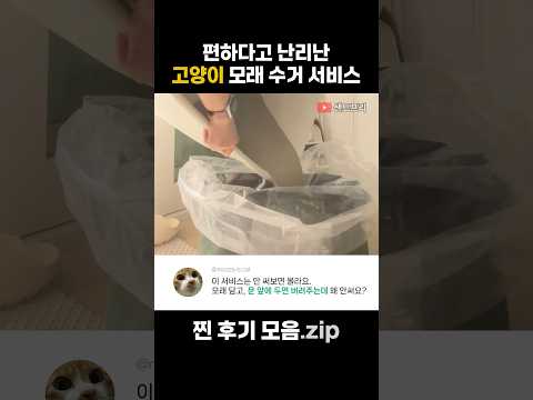 요즘 집사들이 무거운 고양이 모래를 버리는 신박한 방법