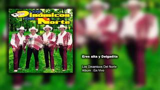 Video thumbnail of "Los Dinamicos del Norte - Eres alta y Delgadita"