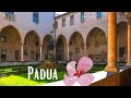 Padua: Capella dei Scrovegni - One of the HIDDEN GEMS of Italy