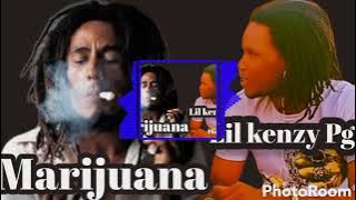 Lil Kenzy PG - Marijuana - (audio-officiel)