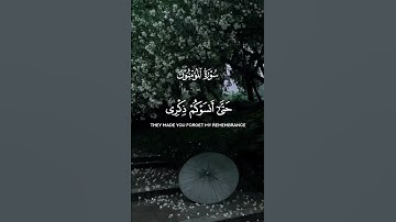 سورة المؤمنون