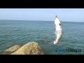 Рыбалка на Крите