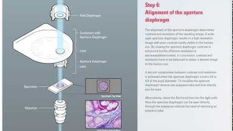 How to set up Koehler Illumination (Science Lab)