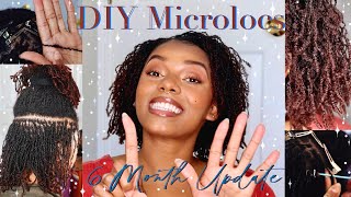 DIY Microloc 6 Month Update!!! || DIY Microloc Journey