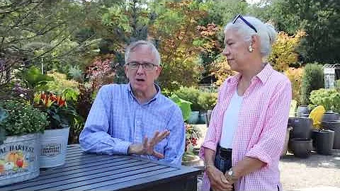 Testimonial for Everett's Gardens - The Collier's