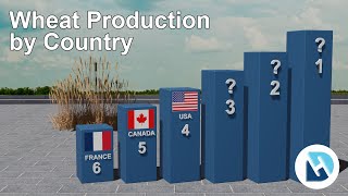 Wheat Production by Country | Highest Wheat Exporting Country | Comparison 3D