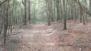 Alabama hunting lease now available on HLRBO!
