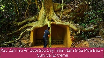 Xây Căn Trú Ẩn Dưới Gốc Cây Trăm Năm Giữa Mưa Bão – Survival Extreme