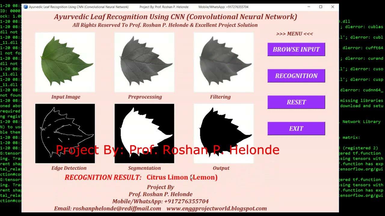 Ayurvedic Leaf Recognition Using CNN | Python OpenCV Project Source ...