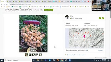 Intro to iNaturalist - A Meeting of Nature Journaling, Identification, and Citizen Science