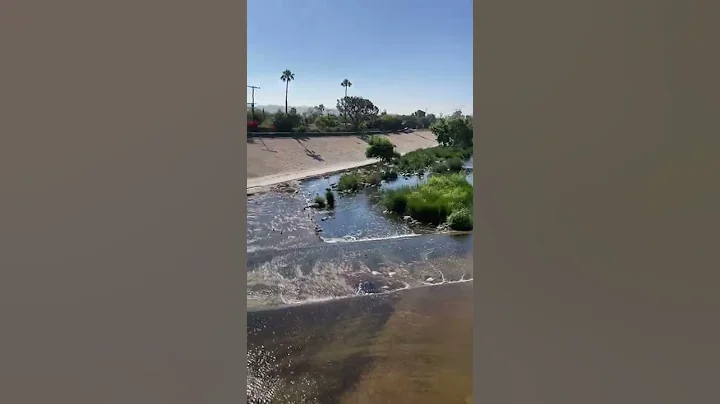 FoLAR volunteers walking into L.A. River