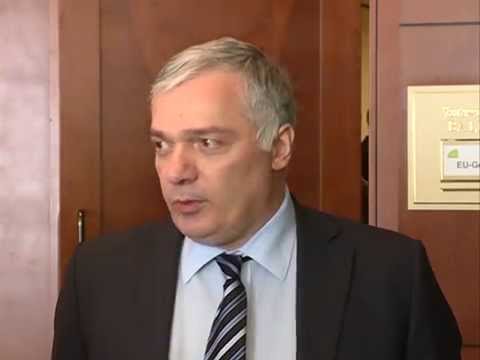 ალექსანდრე ბარამიძე ევროკავშირ-საქართველოს საპარლამენტო თანამშრომლობის კომიტეტის შეხვედრაზე