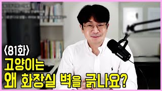 [81화] 약용샾푸 효과없다? 관절영양제 효과없다? 고양이 화장실사용거부, 헤어볼 괜찮아요. 고양이는 왜 화장실 벽을 긁나요?, 고양이의 우울증은?