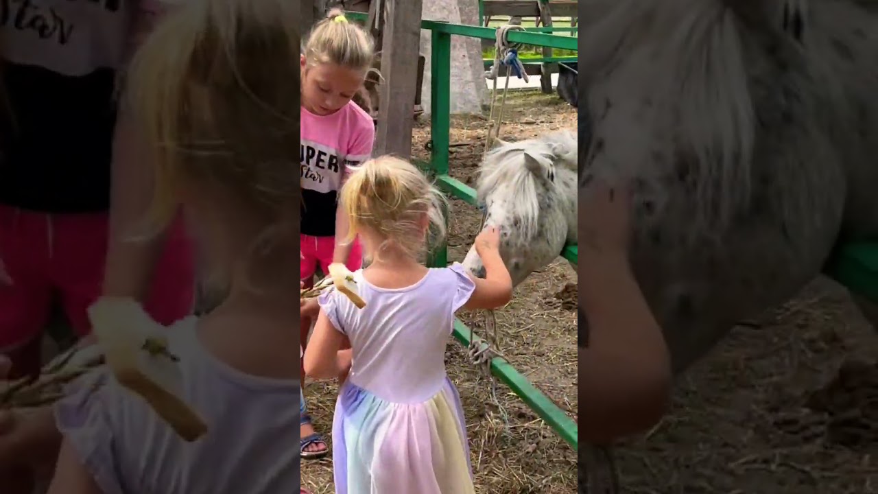 Люблю пони 😍