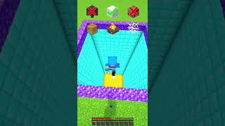 😲Falling damage Test pt.1.. #minecraft #minecraftshorts