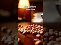 Travel Foods Tips | ভ্রমণের খাবার #travelfood