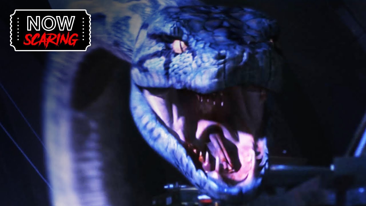 Boa Vs Python | Club Scene - YouTube