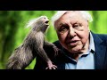 VITS TTS Model Tutorial with David Attenborough AI #artificialintelligence #ai  #tts #coqui