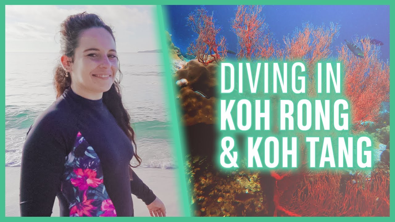Diving trip in Koh Rong and Koh Tang (Cambodia)