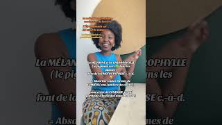 Humans Are One With Nature Chlorophyll And Melanin Perform Photosynthesis