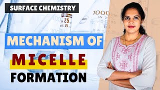 SURFACE CHEMISTRY PART 14| MECHANISM OF MICELLE FORMATION| NCERT CLASS 12 | FOR GRADUATES | LIGHT UP
