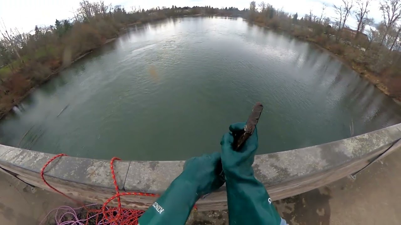 # Something big was pulled come see it's cool