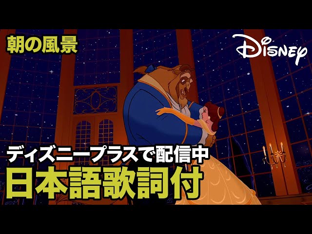 Morning Scenery (Belle) NEW!
