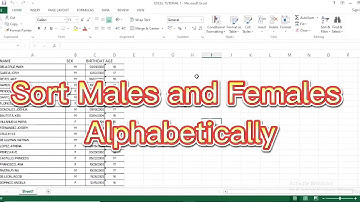 How to Sort Males and Females Alphabetically in Excel