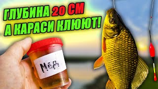 ЗОЛОТЫЕ КАРАСИ КЛЮЮТ НА ГЛУБИНЕ 20 СМ! Тестирую свои САМОДЕЛЬНЫЕ АРОМАТИЗАТОРЫ на НОВОМ ОЗЕРЕ!