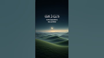 ۝وأيوب إذ نادىٰ رَبَّهُ أني مَسَّنِيَ الضُّرُّ وأنتَ أرحَمُ الراحِمين۝ #هيثم_الدخين #سورة_الأنبياء