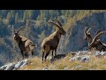 Natur.Heimat.Bayern