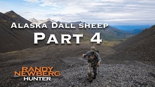 2018 Alaska Dall Sheep with Randy Newberg (Part 4 of 9)