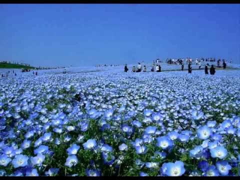 მამა პაისი მთაწმინდელი-მომავალი ცხოვრება (სამოთხე და ჯოჯოხეთი)