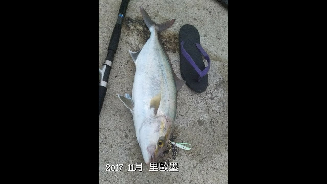 到處走釣 澎湖釣魚季節