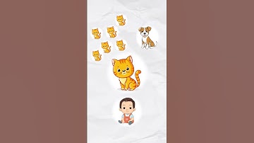 Imbalanced Datasets in Classification | Machine Learning Interview Questions and Answers #datashorts