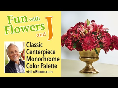 Wideo: Monochromatyczne kompozycje kwiatowe: Dowiedz się więcej o sadzeniu monokultur w doniczkach