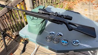 Winchester 1977XS Testing Slugs At 25 yards Part 2  (10 Pumps)