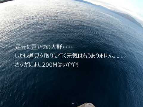 エギング 越前へヤリイカ釣りにいってきました 3 25 Youtube エギング 越前へヤリイカ釣りにいってきました 3 25 Youtube
