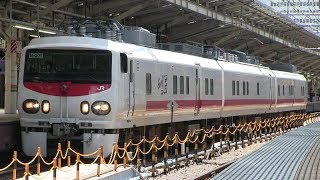 ＪＲ東北本線（上野東京ライン）　東京駅　Ｅ４９１系