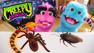 ОГРОМНЫЕ скорпионов и пауков игрушки 🦂🕷️ нечетких пьесы игрушка ошибок шалость! 🐛🐞🐜🕸️🐍