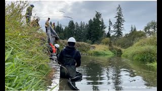 Foodlands Corridor Restoration Program - NV Presentation Nov 23, 2023 with Rivershed Society of BC