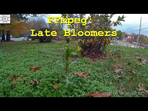 FFmpeg: Late Bloomers