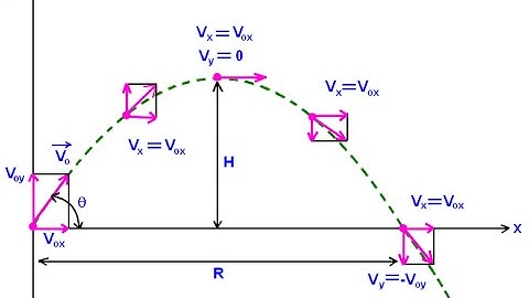 Projectile Motion Question - Bird Droppings