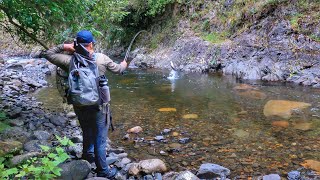 Fly Fishing Tiny Private Mountain Stream.