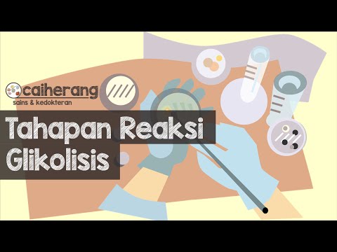 Video Tahapan Glikolisis | Glikolisis: Tahapan Produksi Energi Sel